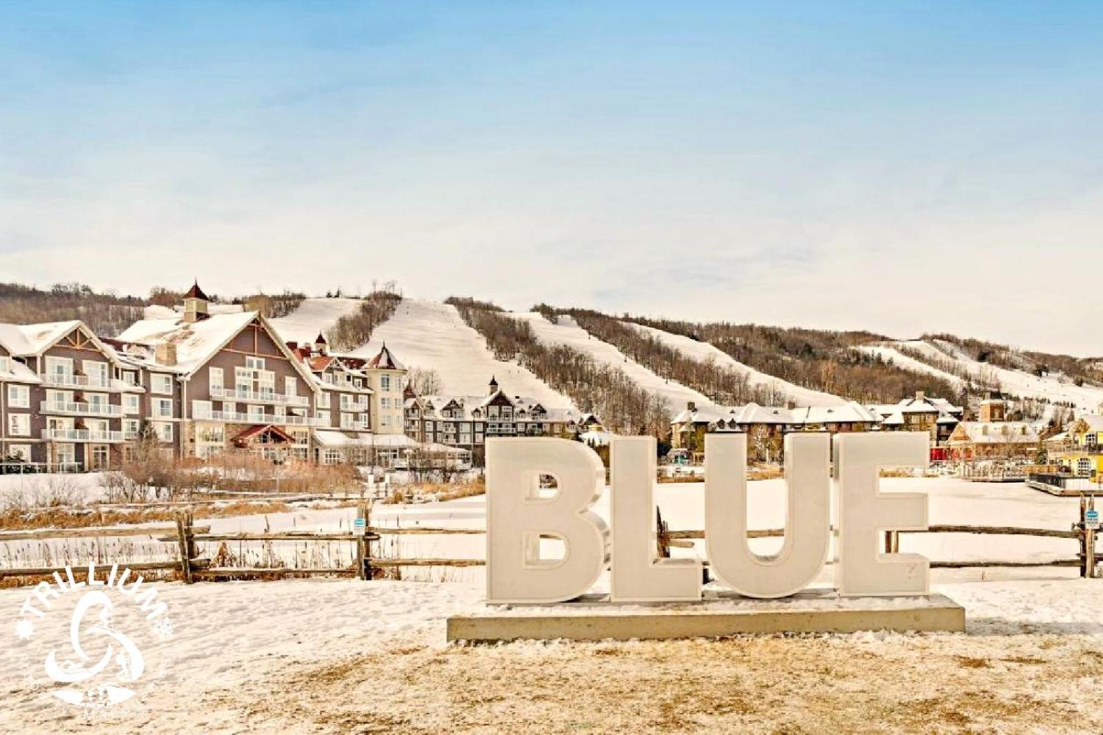 Blue Mountain, Collingwood - Loft Condo, Sleeps 4 Blue Mountains Luaran gambar