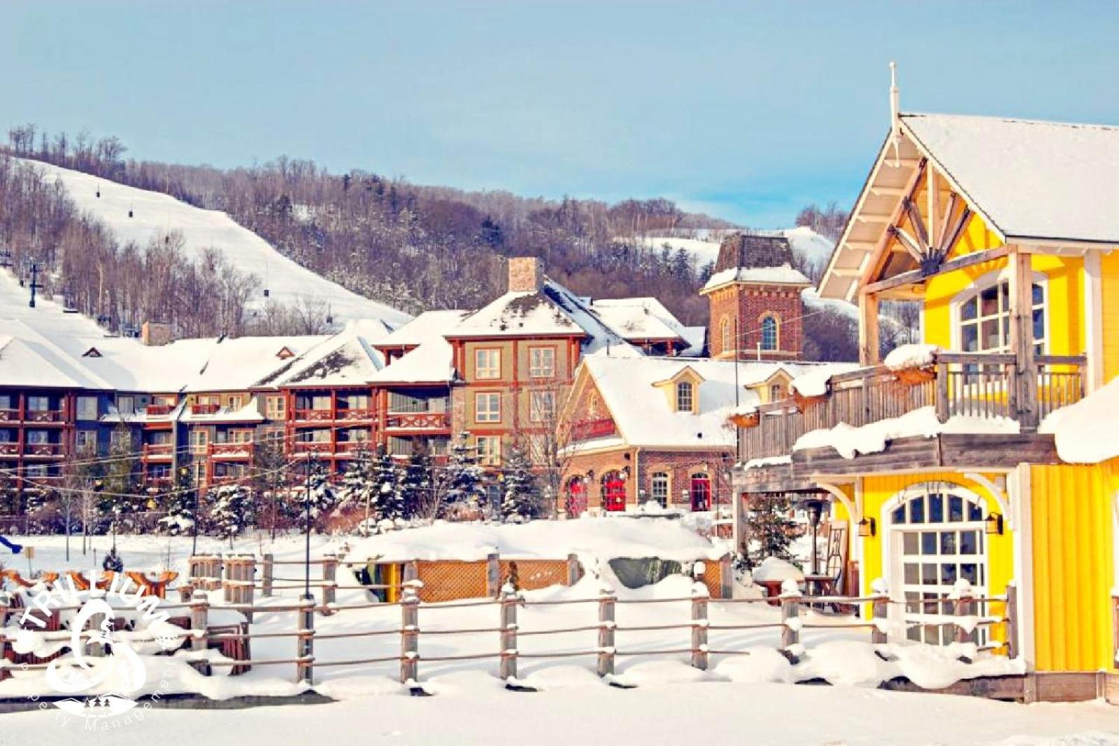 Blue Mountain, Collingwood - Loft Condo, Sleeps 4 Blue Mountains Luaran gambar